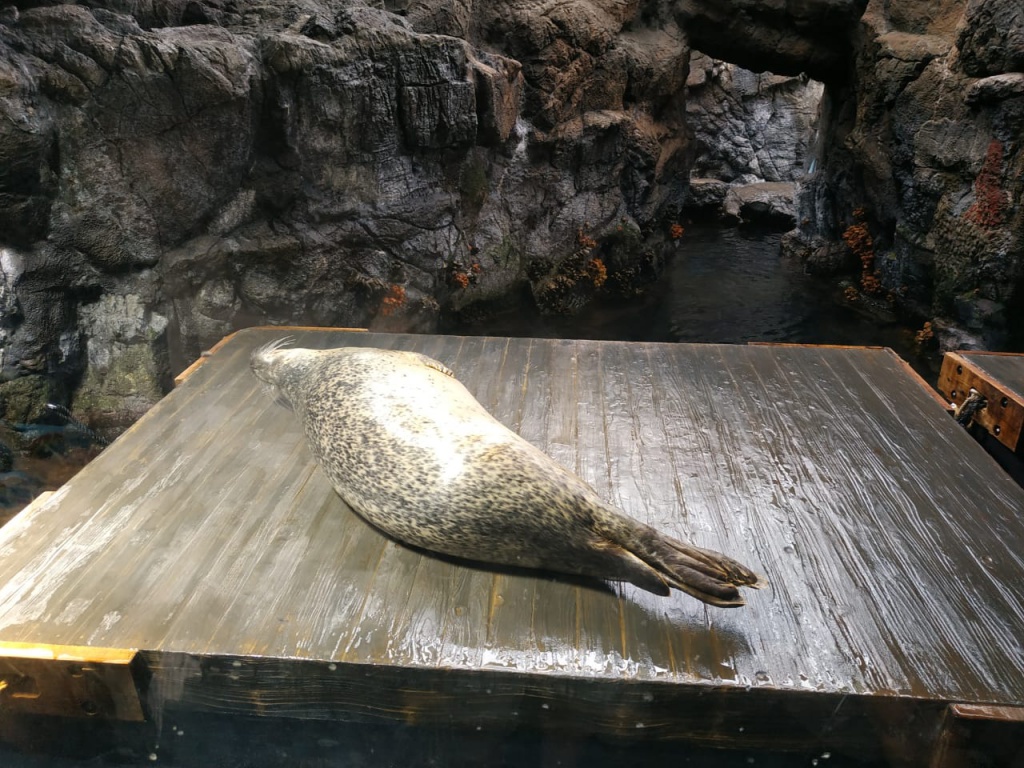 IMG-20180820-WA0047.jpg IMG-20180820-WA0047.jpg