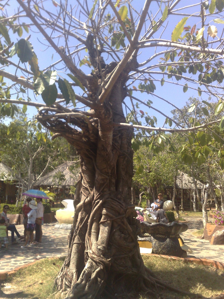 080220123409.jpg
