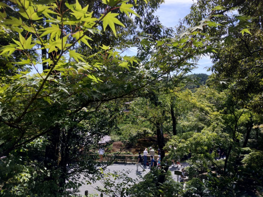 IMG-20180818-WA0076.jpg IMG-20180818-WA0076.jpg