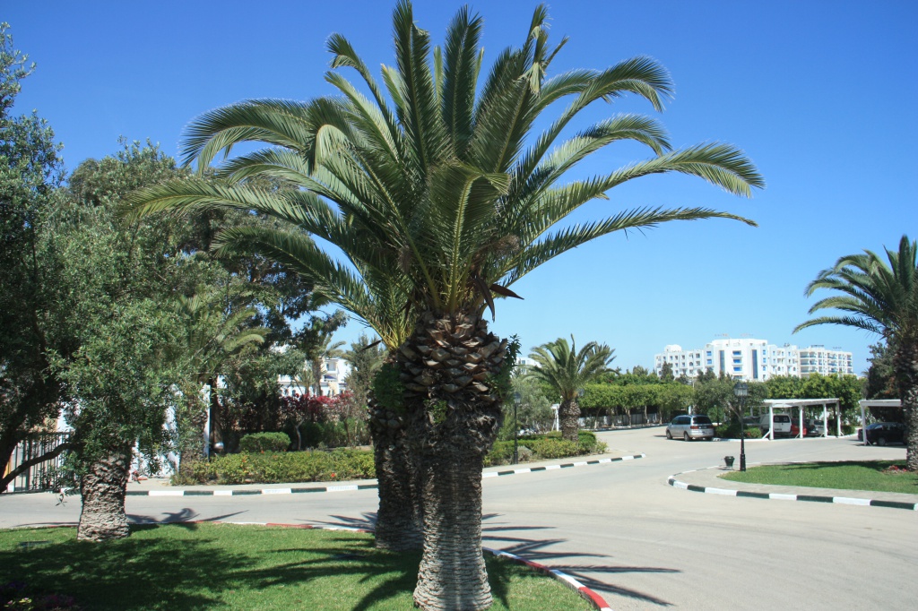 IMG_5536.JPG