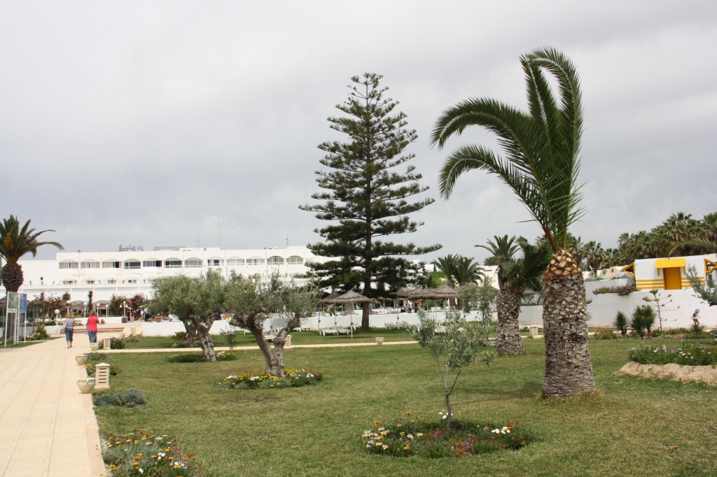 IMG_4146.JPG