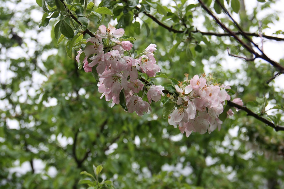 IMG_5800.JPG