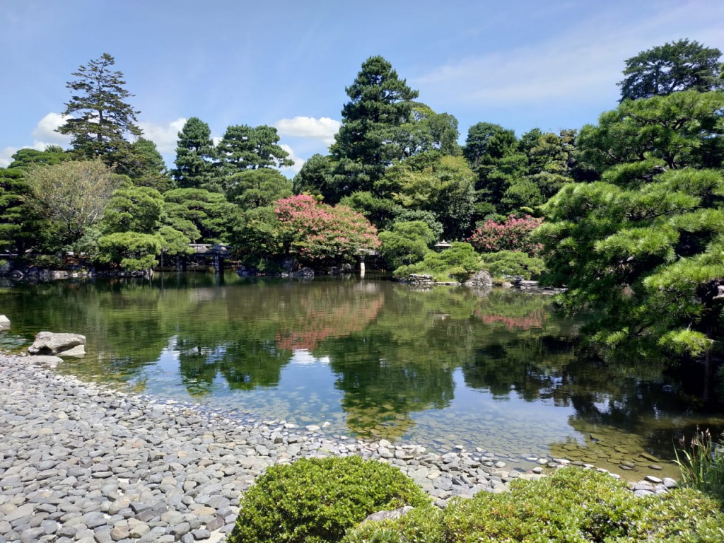 IMG-20180818-WA0103.jpg IMG-20180818-WA0103.jpg
