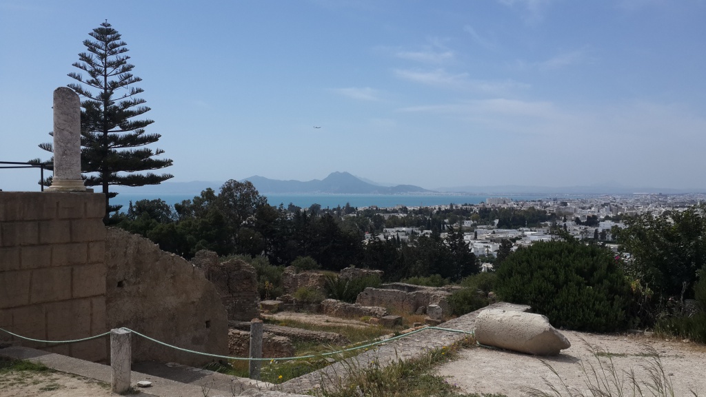 20180430_101109.jpg