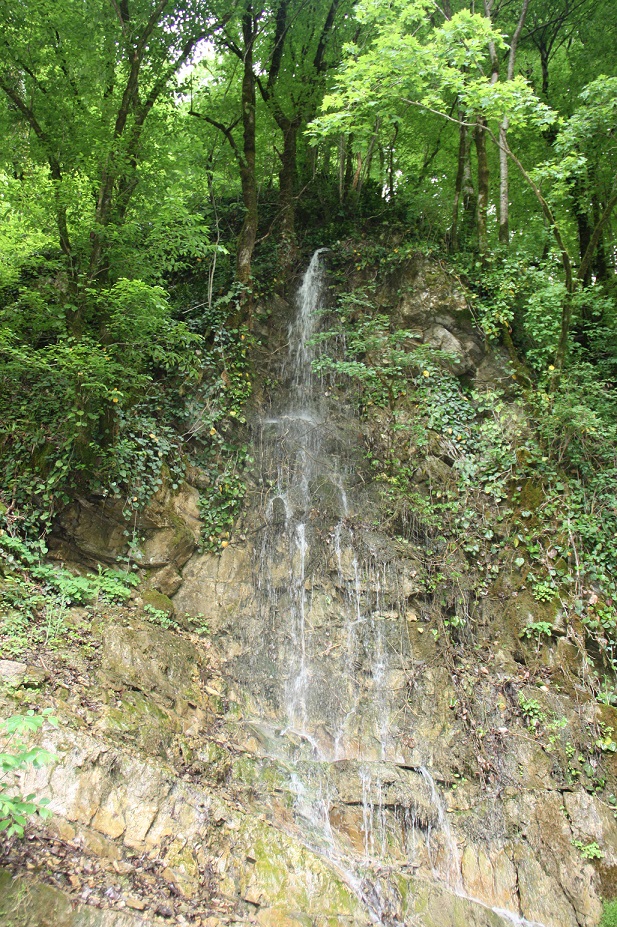 IMG_5297.JPG