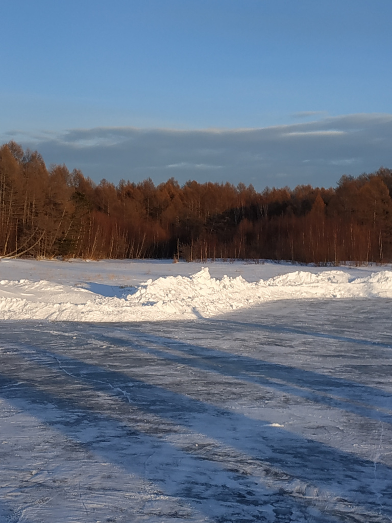 IMG_20210208_172627.jpg