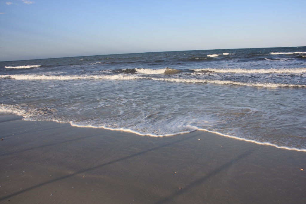 IMG_5349.JPG