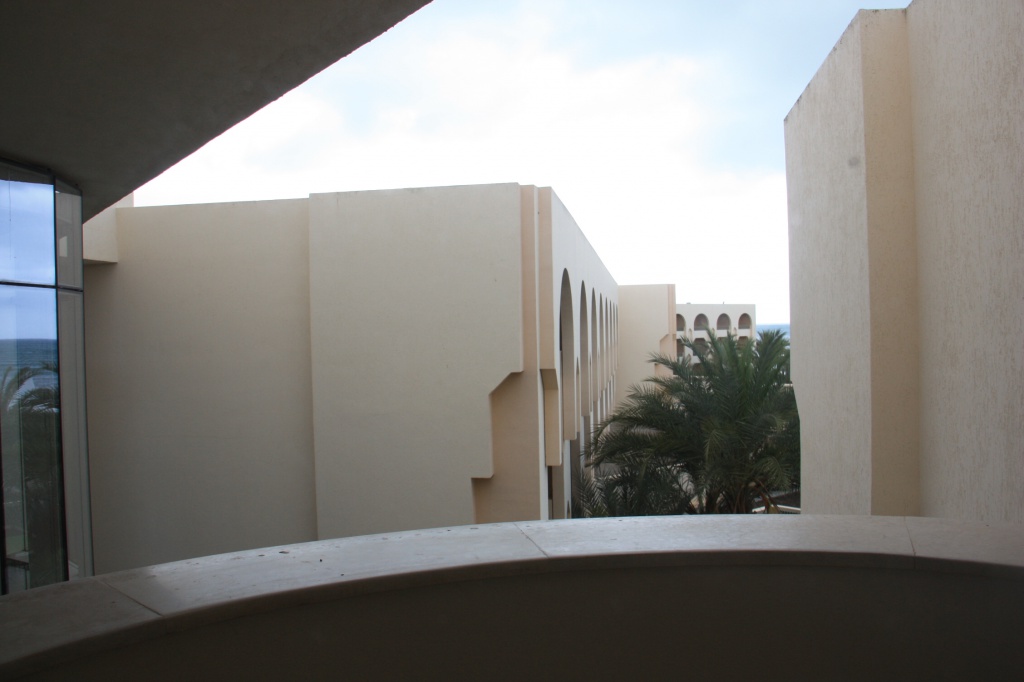 IMG_4575.JPG