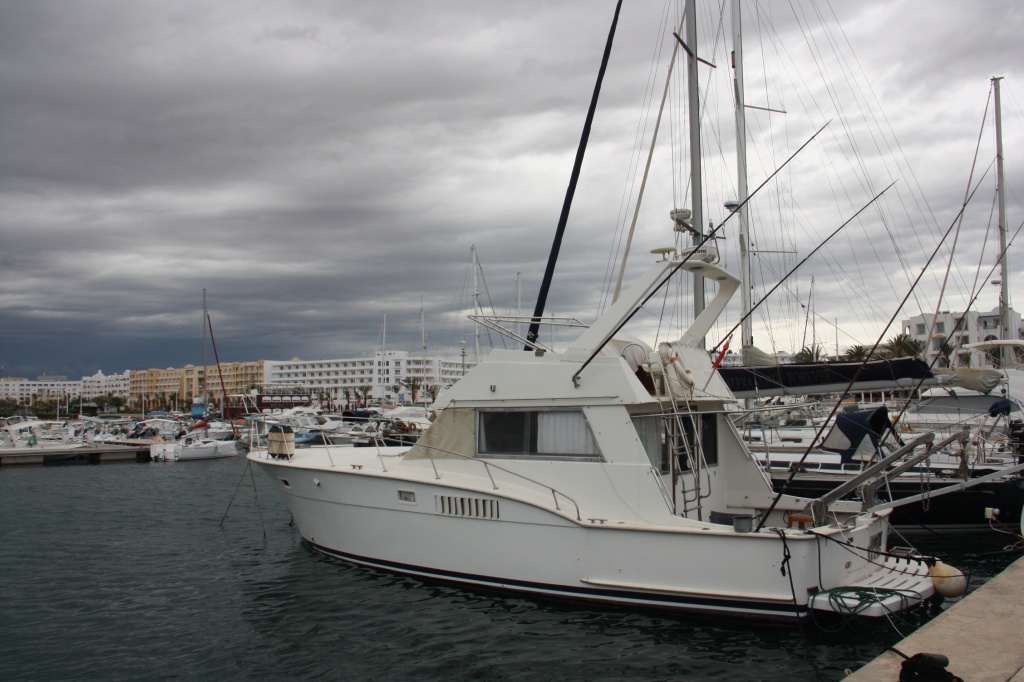 IMG_4456.JPG