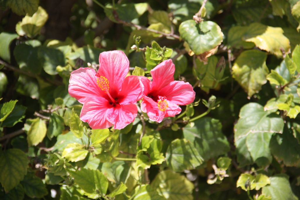 IMG_6569.JPG