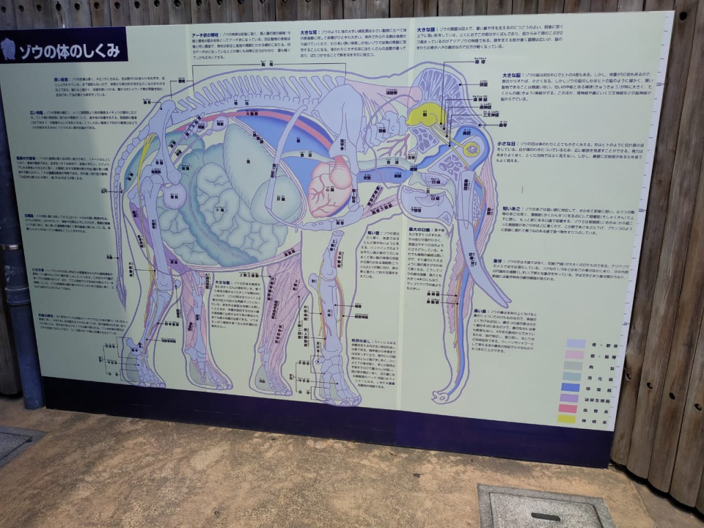 IMG-20180826-WA0054.jpg IMG-20180826-WA0054.jpg
