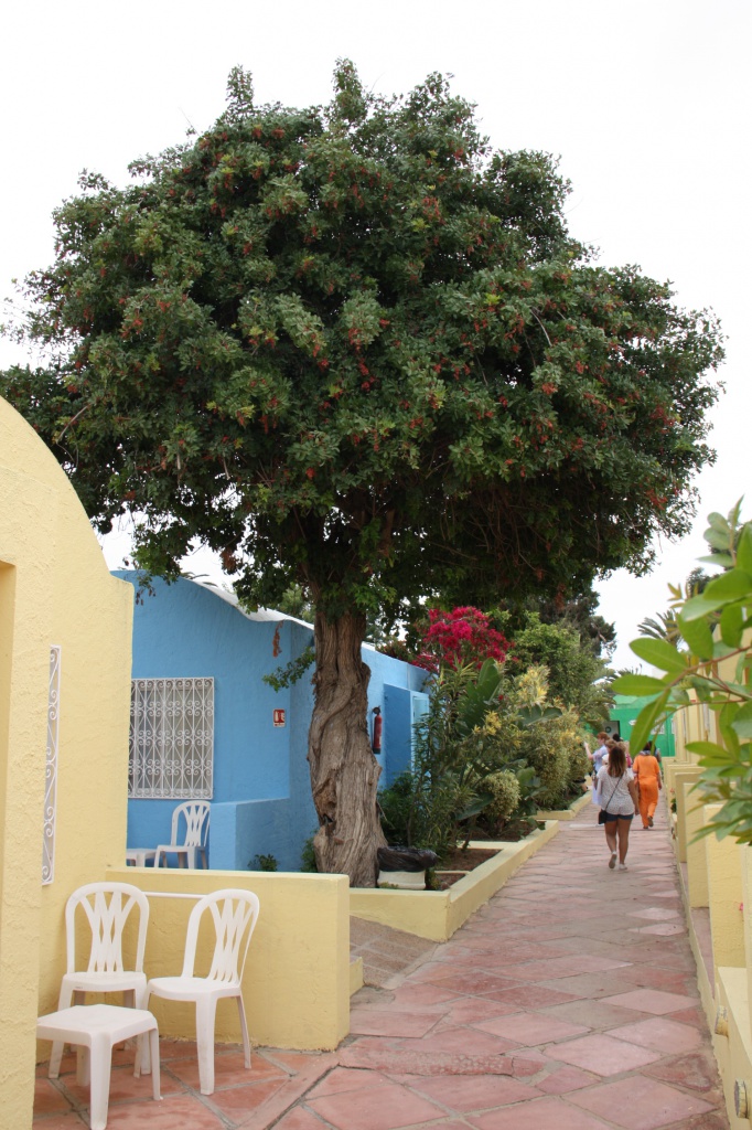 IMG_4182.JPG