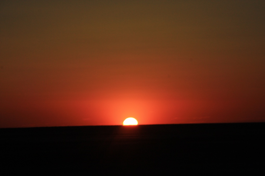 IMG_5020.JPG