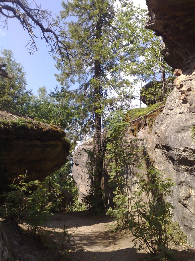 070720134708.jpg