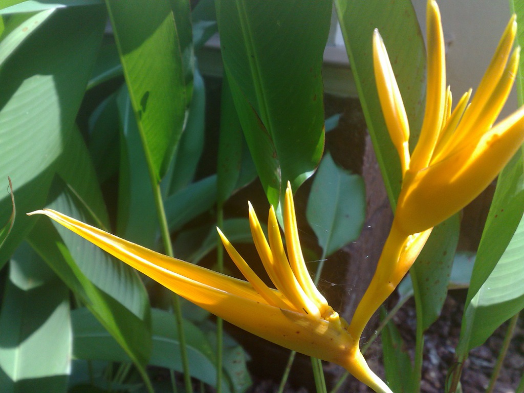 2009-10-24_12-31-50_241020091070.jpg