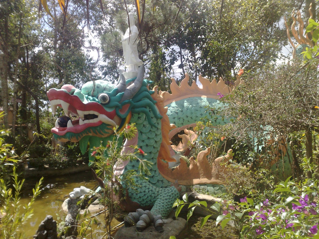 120220123661.jpg