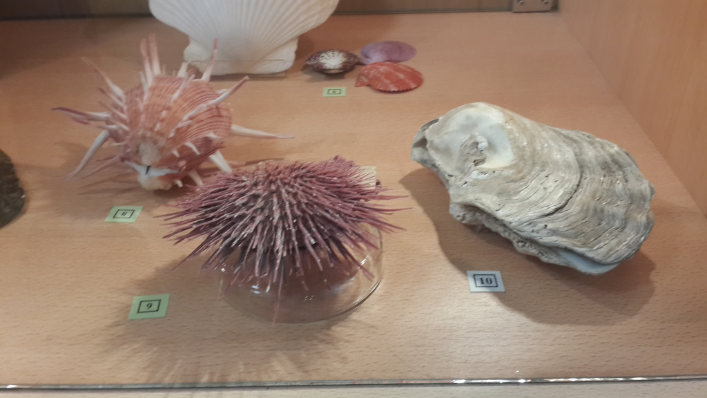 20180721_135730.jpg