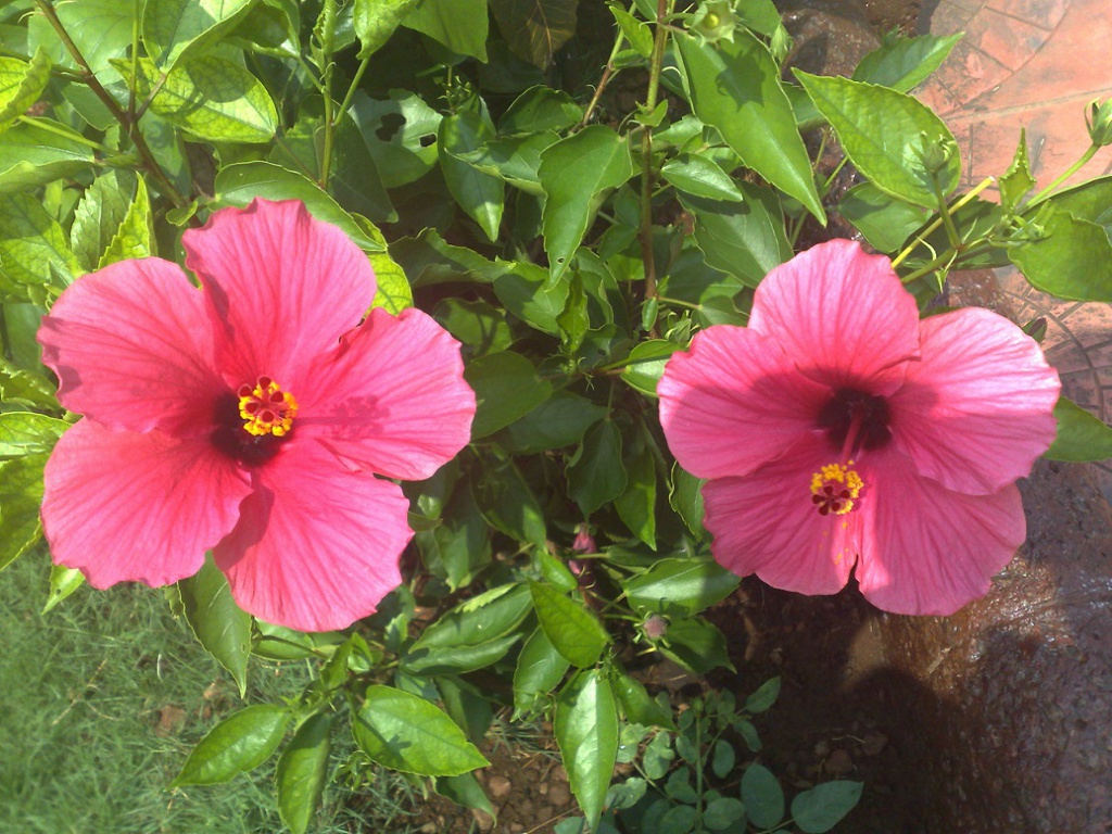 2009-10-23_11-52-36_23102009954.jpg