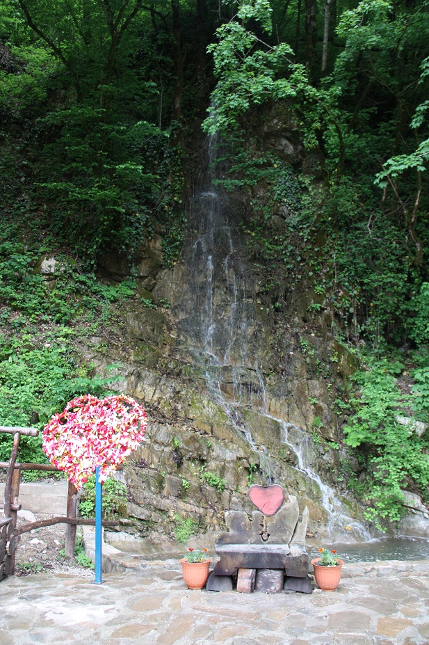 IMG_5296.JPG