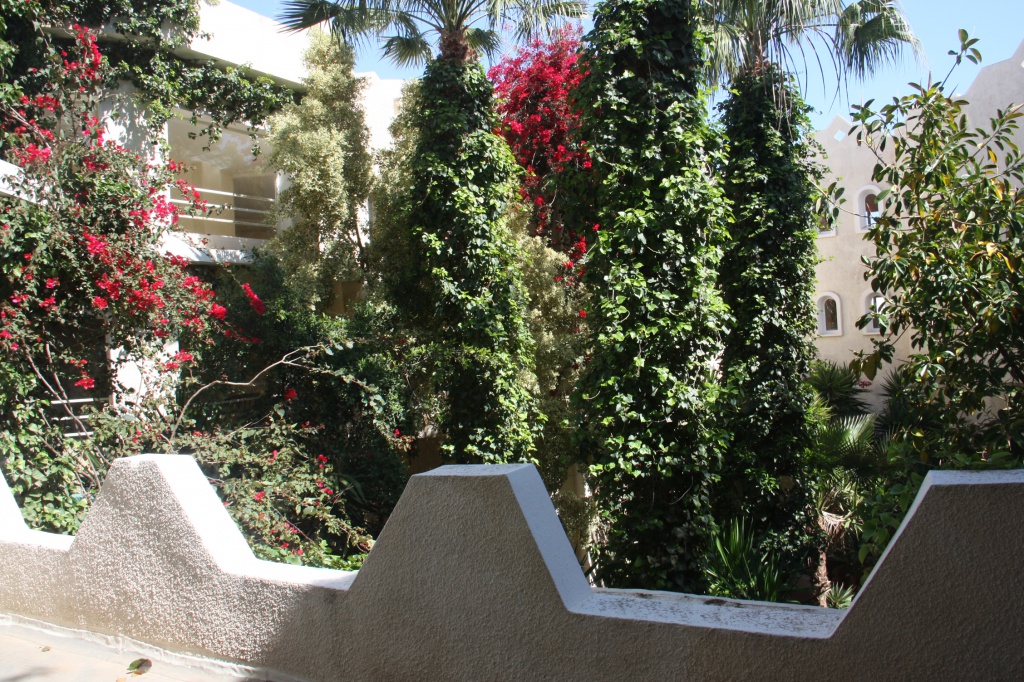 IMG_5474.JPG