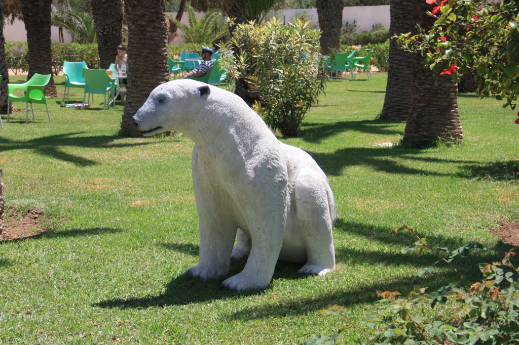 IMG_6180.JPG