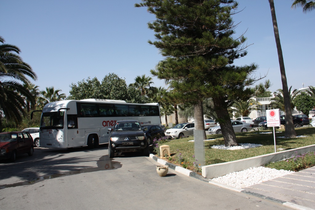 IMG_2979.JPG