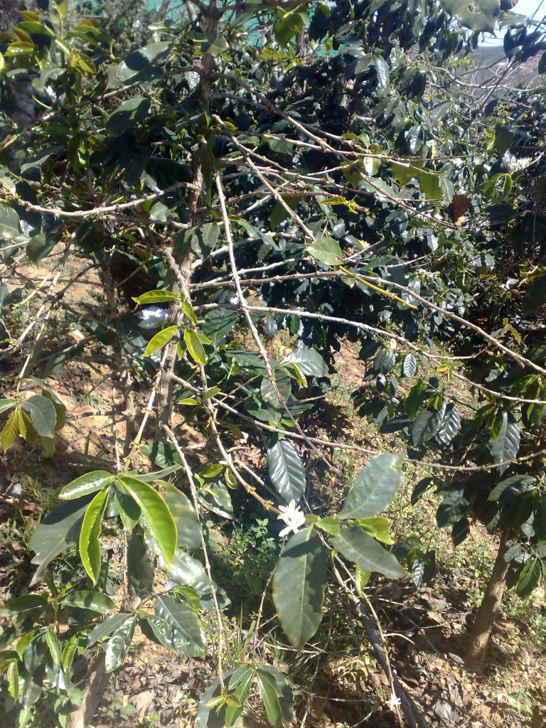 120220123621.jpg