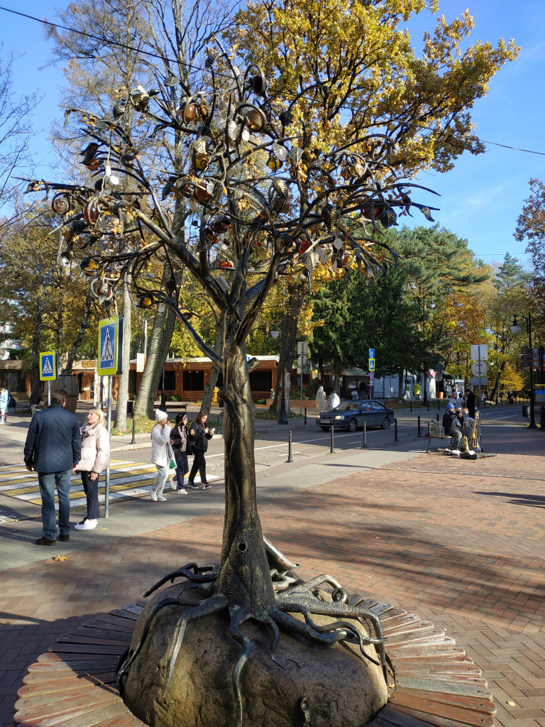 IMG_20211029_120330.jpg