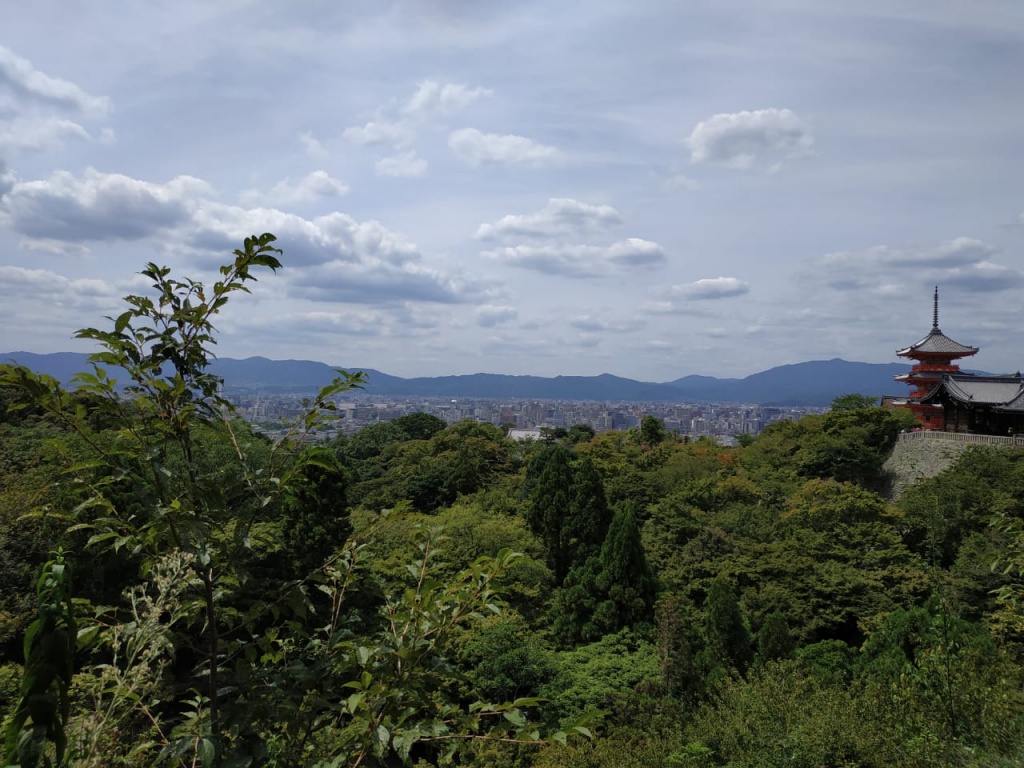 IMG-20180819-WA0050.jpg IMG-20180819-WA0050.jpg