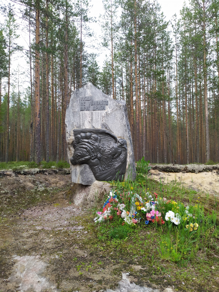 IMG_20220620_221Сандормох Соловецкий камень.jpg