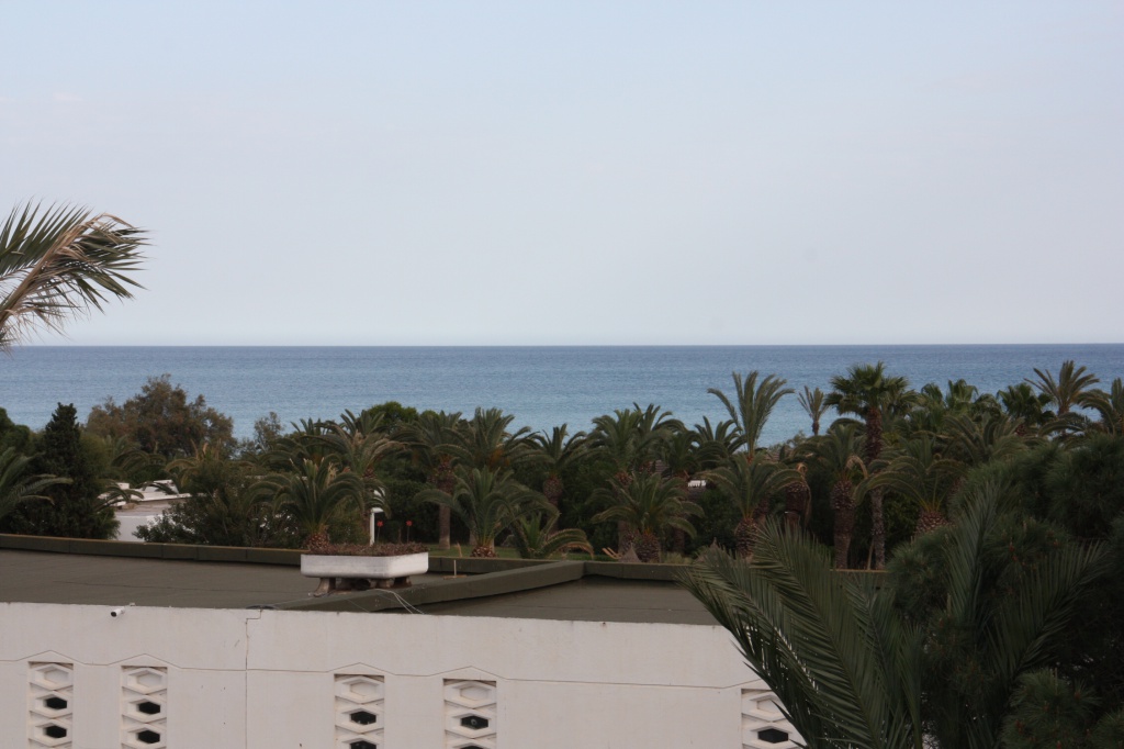 IMG_3800.JPG