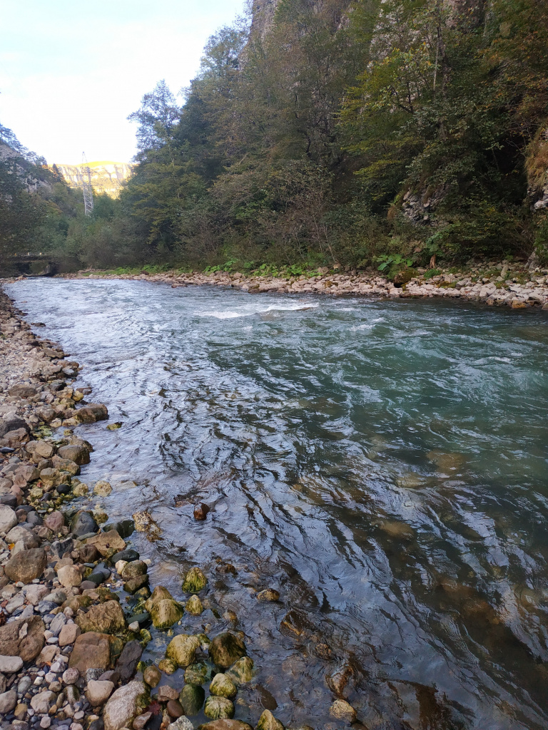 IMG_20220928_190904.jpg