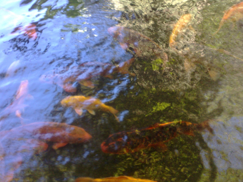 130220123781.jpg