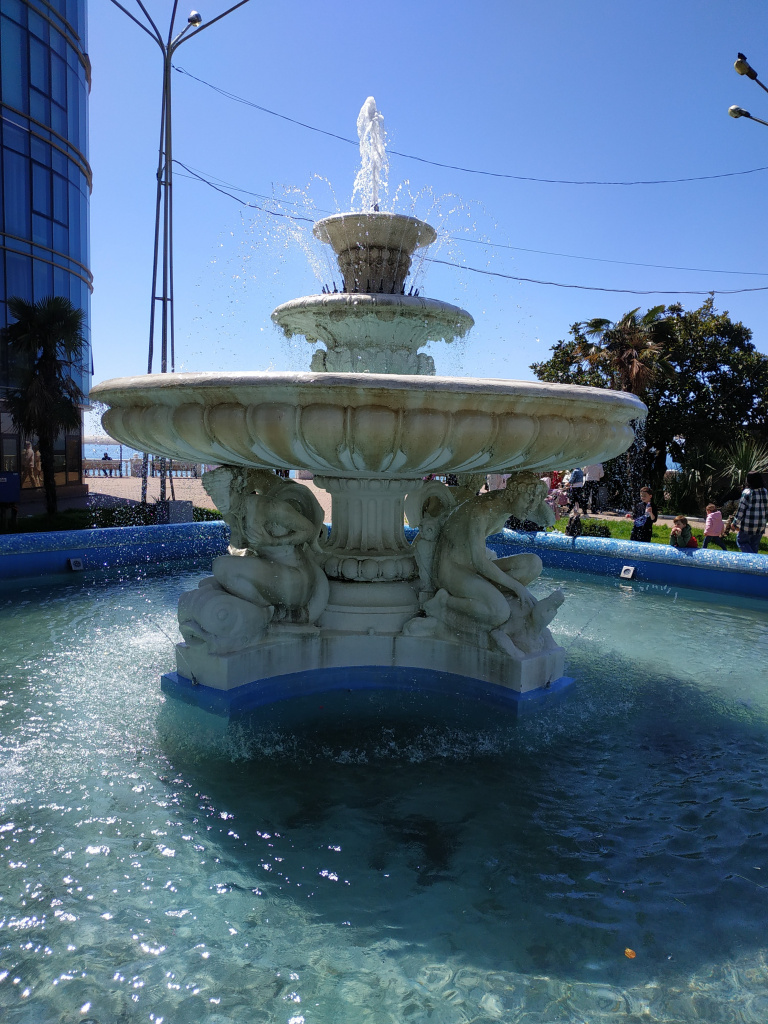 IMG_20220416_120631.jpg