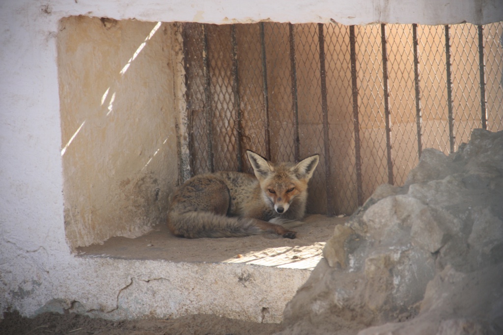 IMG_4942.JPG