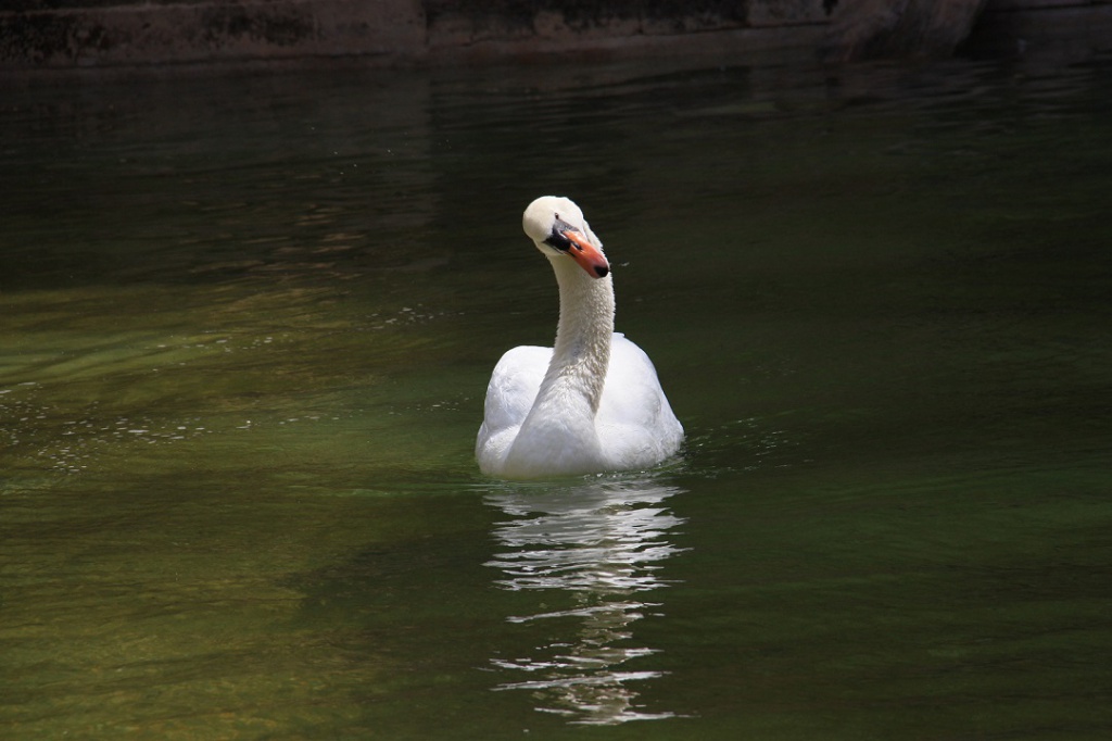 IMG_4643.JPG
