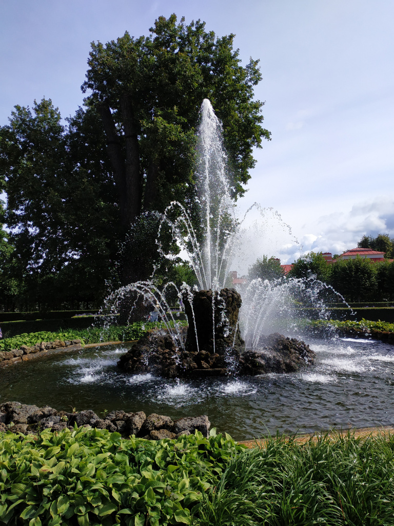 IMG_20220903_150042.jpg