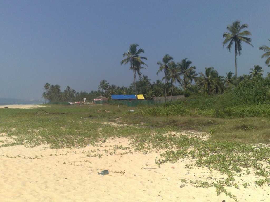 2009-10-24_13-17-54_241020091096.jpg