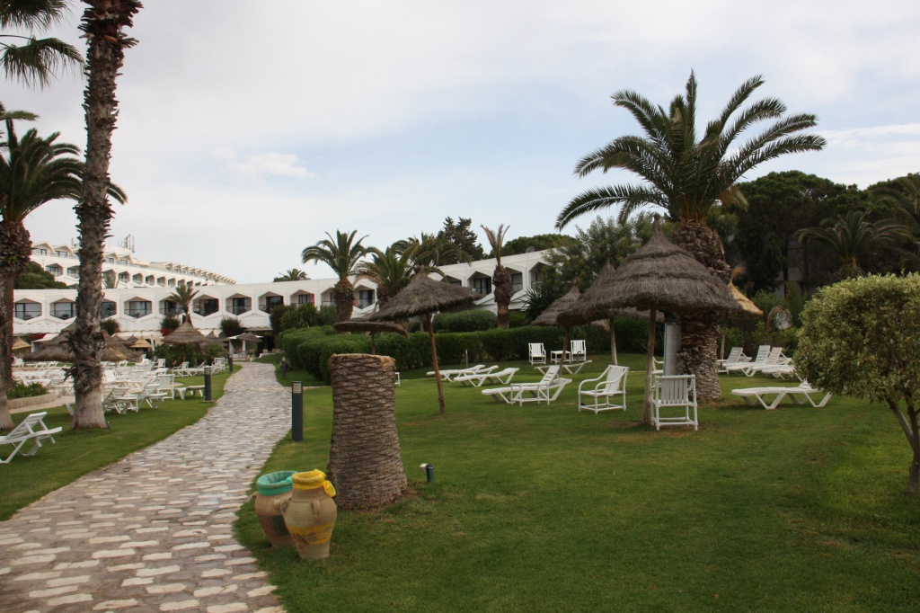 IMG_3824.JPG