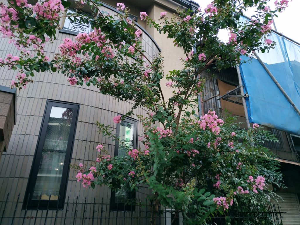 IMG-20180817-WA0092.jpg