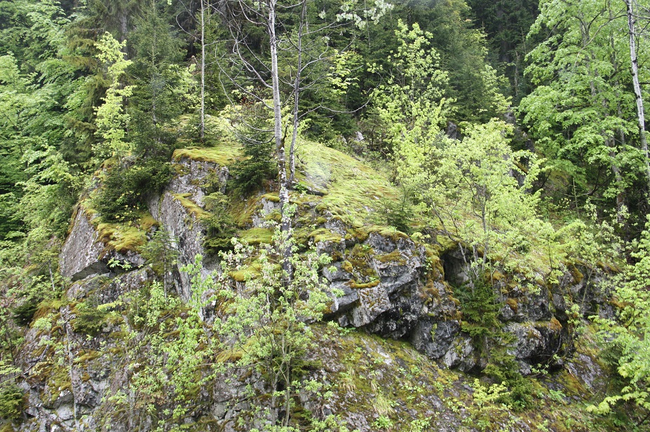 IMG_5804.JPG