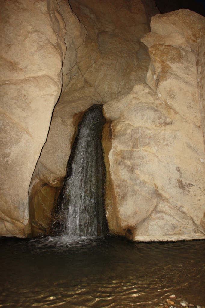 IMG_5044.JPG