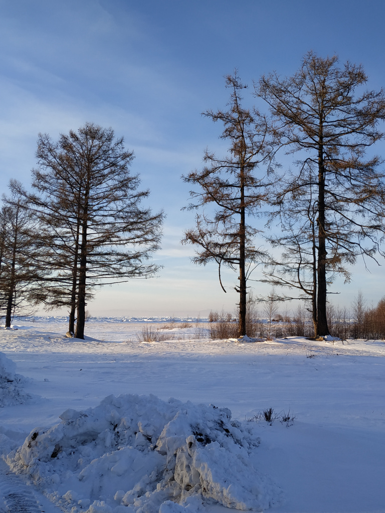 IMG_20210208_172013.jpg