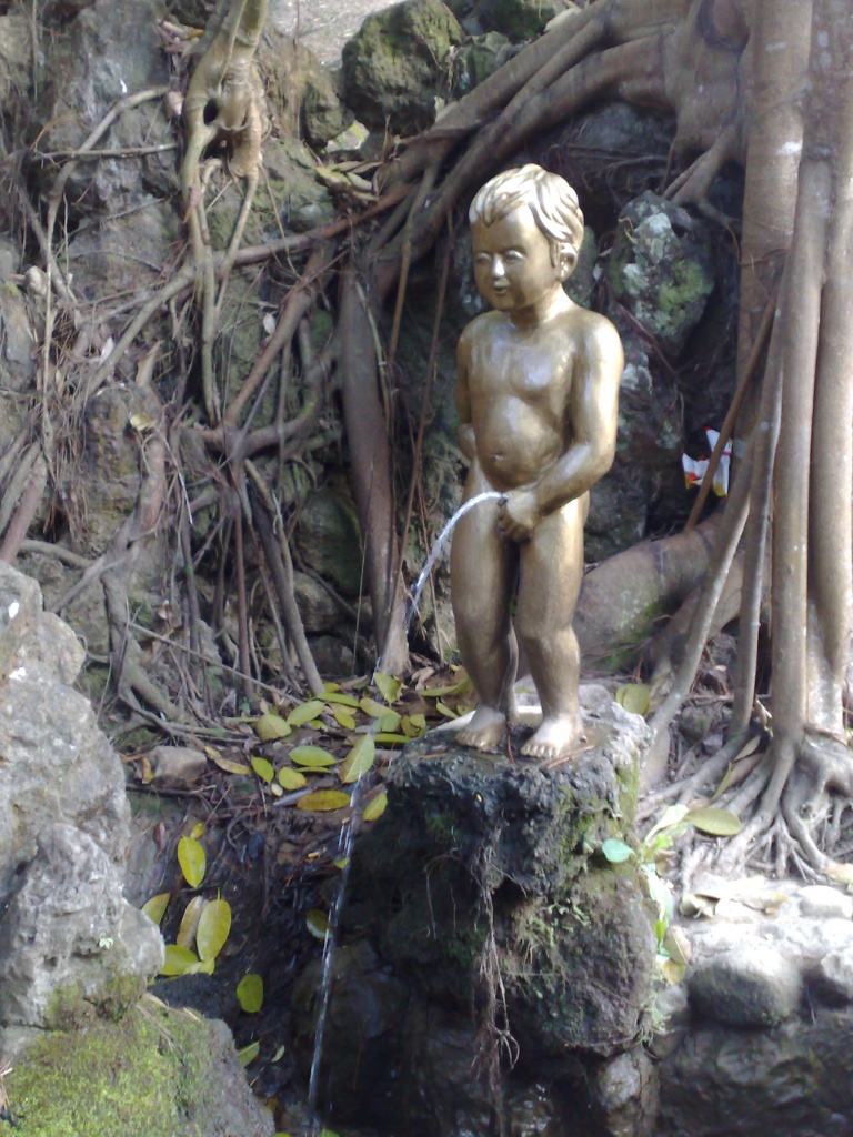 120220123693.jpg