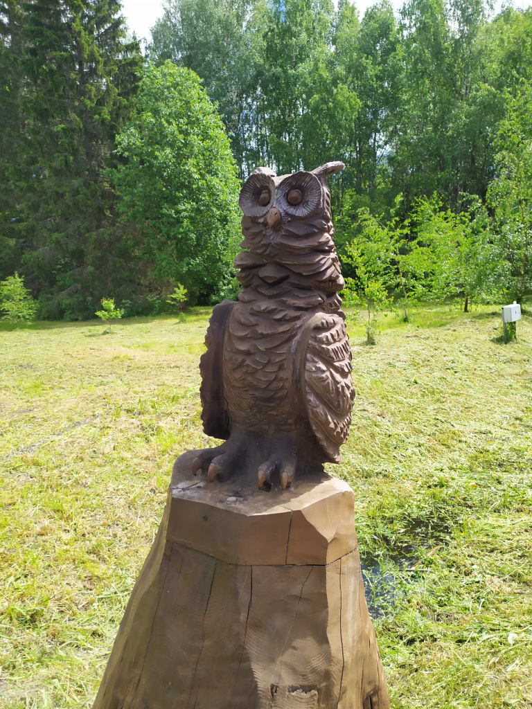 IMG_20220621_07Кивач.jpg