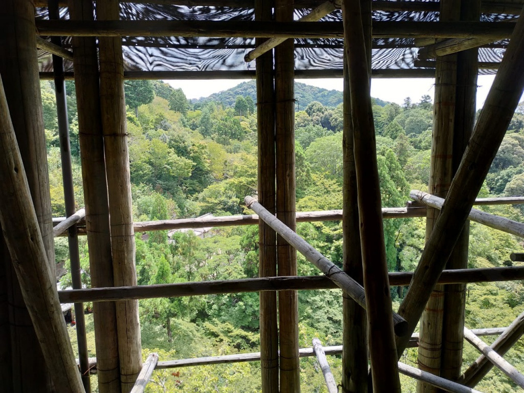 IMG-20180819-WA0059.jpg IMG-20180819-WA0059.jpg
