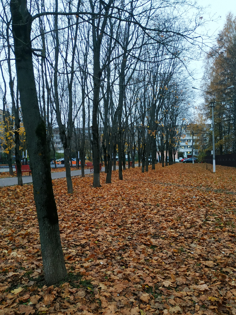 IMG_20241026_165837.jpg