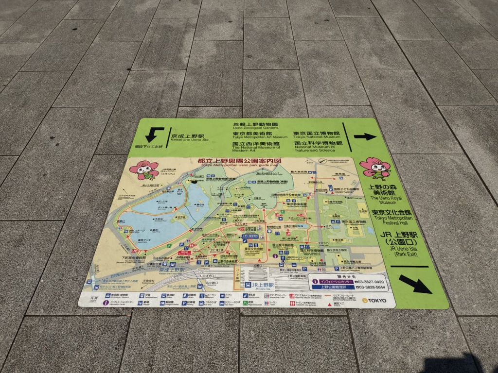 IMG-20180826-WA0003.jpg IMG-20180826-WA0003.jpg