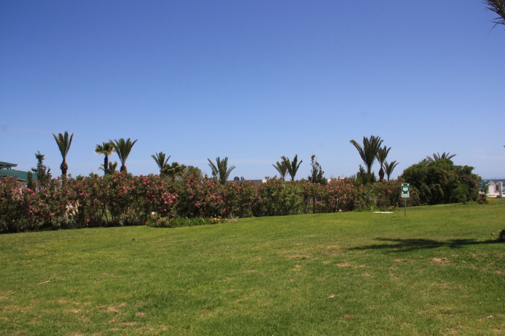 IMG_5694.JPG