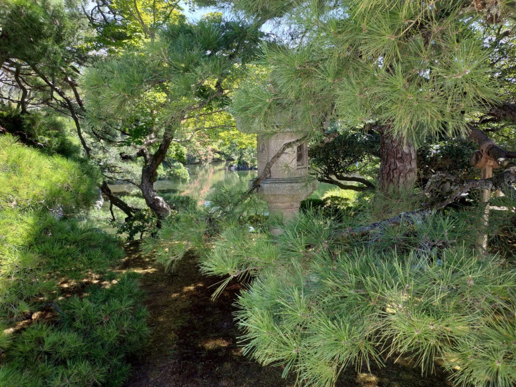 IMG-20180818-WA0120.jpg IMG-20180818-WA0120.jpg